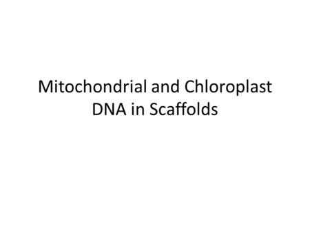 Mitochondrial and Chloroplast DNA in Scaffolds. Goal Determine which scaffolds have mitochondrial or chloroplast DNA – Grape and Arabidopsis reference.