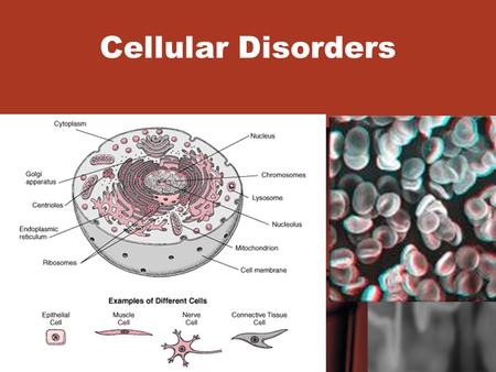 Cellular Disorders. Everything that our bodies do each and every day is because of cells and their various functions If all or some of these cells lose.