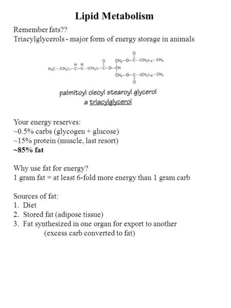 Lipid Metabolism Remember fats?? Triacylglycerols - major form of energy storage in animals Your energy reserves: ~0.5% carbs (glycogen + glucose) ~15%