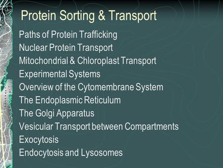 Protein Sorting & Transport Paths of Protein Trafficking Nuclear Protein Transport Mitochondrial & Chloroplast Transport Experimental Systems Overview.