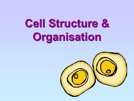 Cell Structure & Organisation. Chapter Outline (a) identify cell structures (including organelles) of typical plant and animal cells from diagrams, photomicrographs.