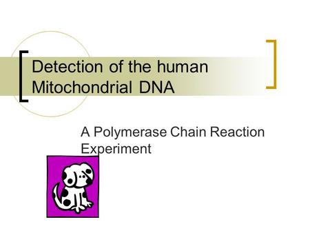 Detection of the human Mitochondrial DNA A Polymerase Chain Reaction Experiment.