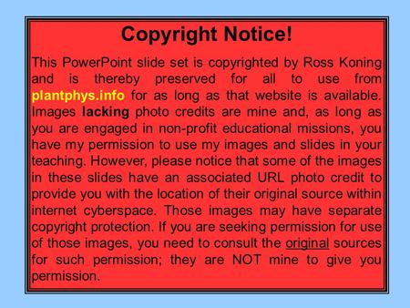 Copyright Notice! This PowerPoint slide set is copyrighted by Ross Koning and is thereby preserved for all to use from plantphys.info for as long as that.
