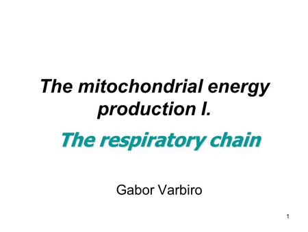 1 The mitochondrial energy production I. The respiratory chain Gabor Varbiro.