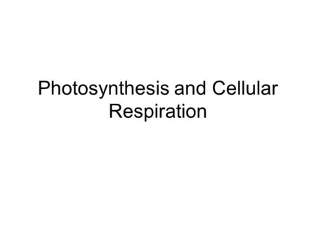 Photosynthesis and Cellular Respiration. Objectives Section 1 1.I can explain in detail the flow of energy through living systems 2.I can compare the.