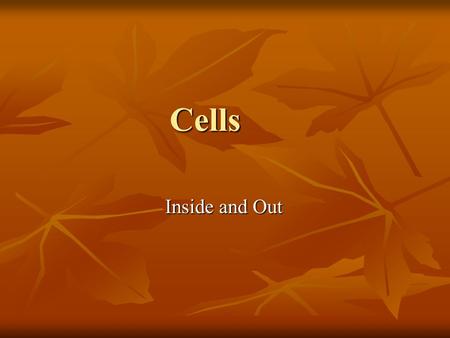 Cells Inside and Out.