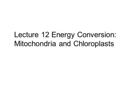 Lecture 12 Energy Conversion: Mitochondria and Chloroplasts