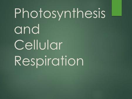 Photosynthesis and Cellular Respiration. Energy Use in Living Organisms  Step 1  Convert sunlight energy into chemical food energy  Ends in Glucose.