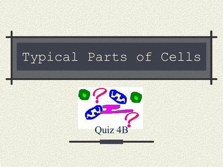 Typical Parts of Cells Quiz 4B.