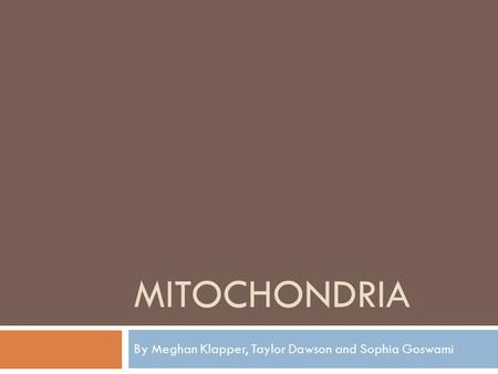 MITOCHONDRIA By Meghan Klapper, Taylor Dawson and Sophia Goswami.