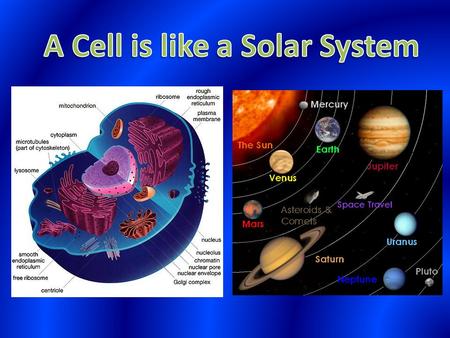 A Cell is like a Solar System