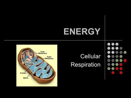 ENERGY Cellular Respiration.