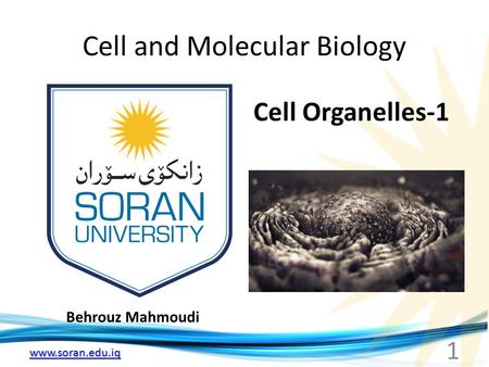 Www.soran.edu.iq Cell and Molecular Biology Behrouz Mahmoudi Cell Organelles-1 1.