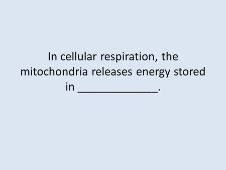 In cellular respiration, the mitochondria releases energy stored in _____________.