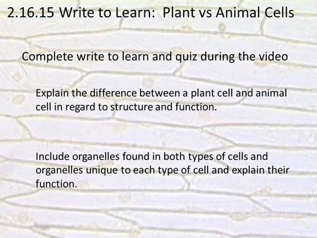 2.16.15 Write to Learn: Plant vs Animal Cells Complete write to learn and quiz during the video Explain the difference between a plant cell and animal.