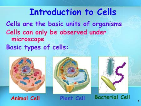 Introduction to Cells Cells are the basic units of organisms