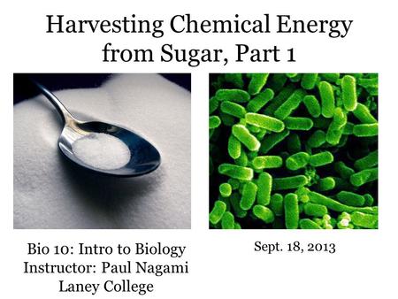 Bio 10: Intro to Biology Instructor: Paul Nagami Laney College Sept. 18, 2013 Harvesting Chemical Energy from Sugar, Part 1.