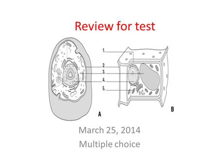 Review for test March 25, 2014 Multiple choice.
