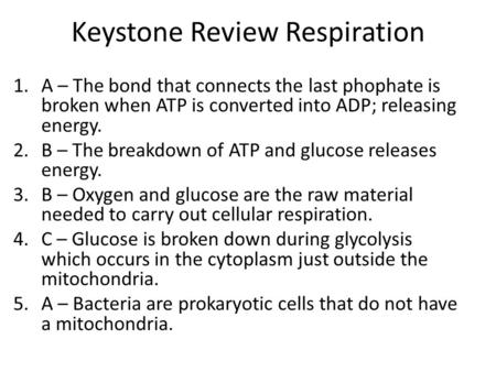 Keystone Review Respiration 1.A – The bond that connects the last phophate is broken when ATP is converted into ADP; releasing energy. 2.B – The breakdown.