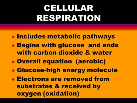 CELLULAR RESPIRATION l Includes metabolic pathways l Begins with glucose and ends with carbon dioxide & water l Overall equation (aerobic) l Glucose-high.