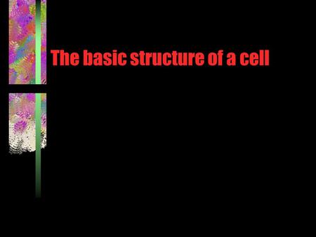 The basic structure of a cell. Introduction Cells are the basic units of organisms –Cells were first observed by scientist under microscope Two basic.