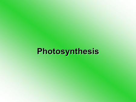 Photosynthesis. Photosynthesis Photosynthesis is the way that plants make food from sunlight –You take in food which is digested and then transferred.