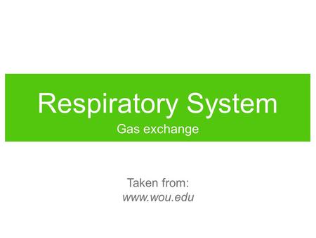 Respiratory System Gas exchange Taken from: www.wou.edu.