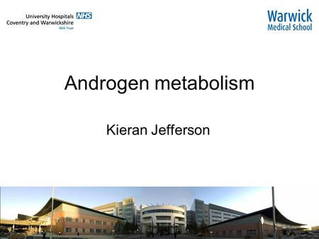 Androgen metabolism Kieran Jefferson. Testosterone SMOOTH ENDOPLASMIC RETICULUM Cholesterol Pregnenolone Testosterone Progesterone 17  -OH- Progesterone.