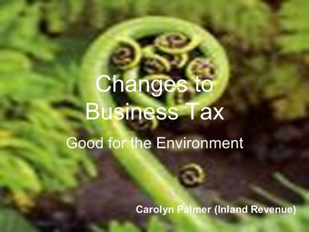 Changes to Business Tax Good for the Environment Carolyn Palmer (Inland Revenue)