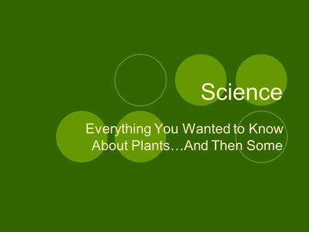 Everything You Wanted to Know About Plants…And Then Some