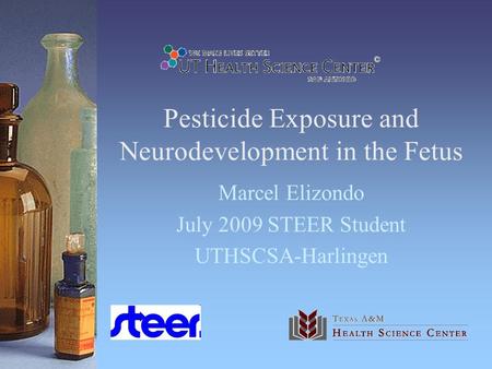 Pesticide Exposure and Neurodevelopment in the Fetus Marcel Elizondo July 2009 STEER Student UTHSCSA-Harlingen.