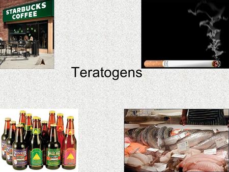 Teratogens. Terminology Defn: any environmental agent that causes damage to the fetus during prenatal period. –viruses, drugs, chemicals, and radiation.