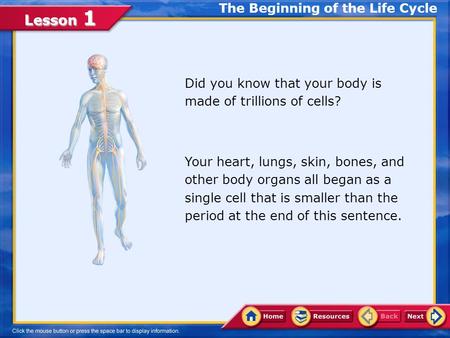 Lesson 1 Did you know that your body is made of trillions of cells? Your heart, lungs, skin, bones, and other body organs all began as a single cell that.