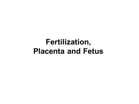 Fertilization, Placenta and Fetus. Male and Female gametes.