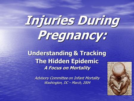 Injuries During Pregnancy: Understanding & Tracking The Hidden Epidemic A Focus on Mortality Advisory Committee on Infant Mortality Washington, DC – March,
