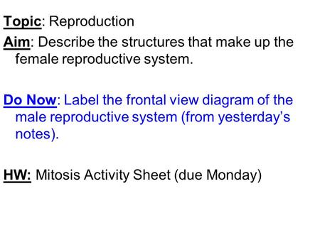 Topic: Reproduction Aim: Describe the structures that make up the female reproductive system. Do Now: Label the frontal view diagram of the male reproductive.