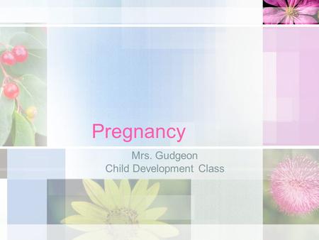 Pregnancy Mrs. Gudgeon Child Development Class. Conception About once each month, an ovum- a female cell or egg is released by one of a woman’s ovaries.
