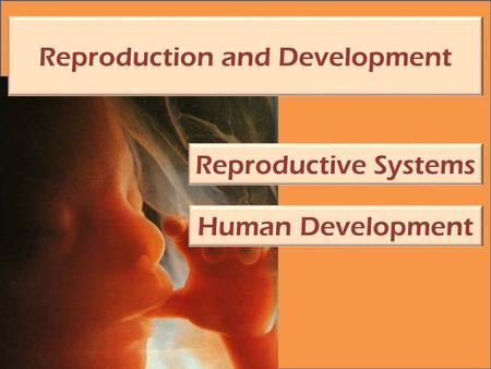 Reproduction and Development Reproductive Systems Human Development.