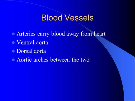 Blood Vessels Arteries carry blood away from heart Ventral aorta