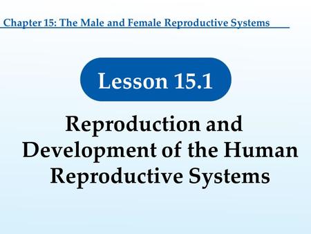 Reproduction and Development of the Human Reproductive Systems