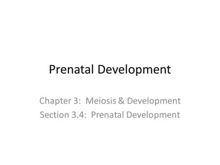 Chapter 3: Meiosis & Development Section 3.4: Prenatal Development