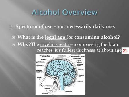  Spectrum of use – not necessarily daily use.  What is the legal age for consuming alcohol?  Why? The myelin sheath encompassing the brain reaches it’s.