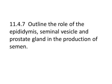 11.4.7 Outline the role of the epididymis, seminal vesicle and prostate gland in the production of semen.