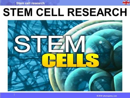 STEM CELL RESEARCH.