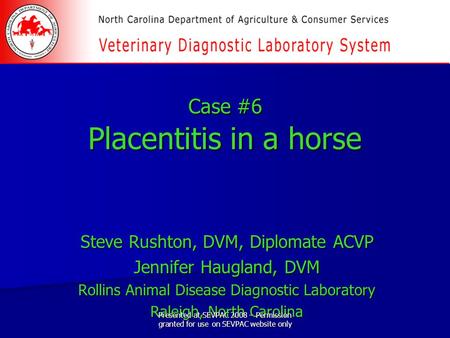 Case #6 Placentitis in a horse