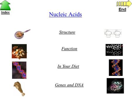 Nucleic Acids Structure Function In Your Diet Genes and DNA.
