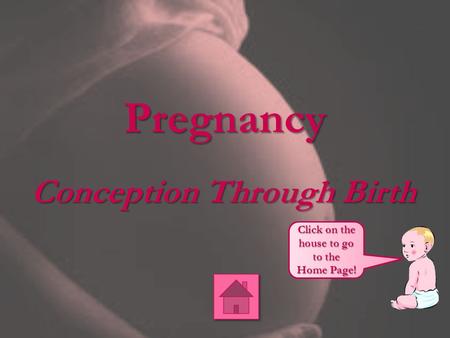 Conception Through Birth
