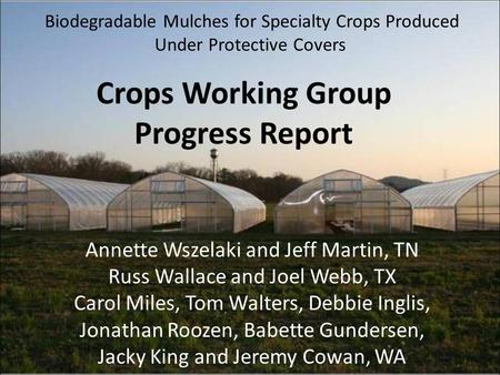 Biodegradable Mulches for Specialty Crops Produced Under Protective Covers Crops Working Group Progress Report Annette Wszelaki and Jeff Martin, TN Russ.