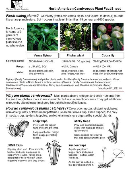 North American Carnivorous Plant Fact Sheet Venus flytrap Sarracenia (~8 species) Scientific name: Darlingtonia californicaDionaea muscipula e USA, CanadaRange:nw.