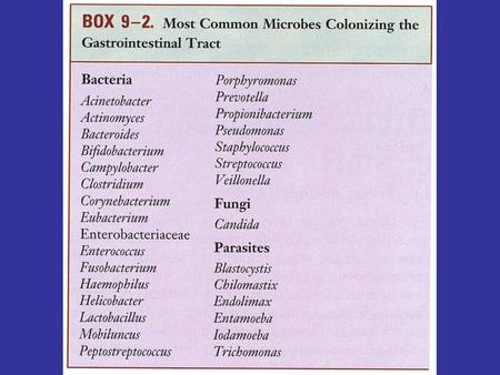 Gram Negative Rods of the Enteric Tract